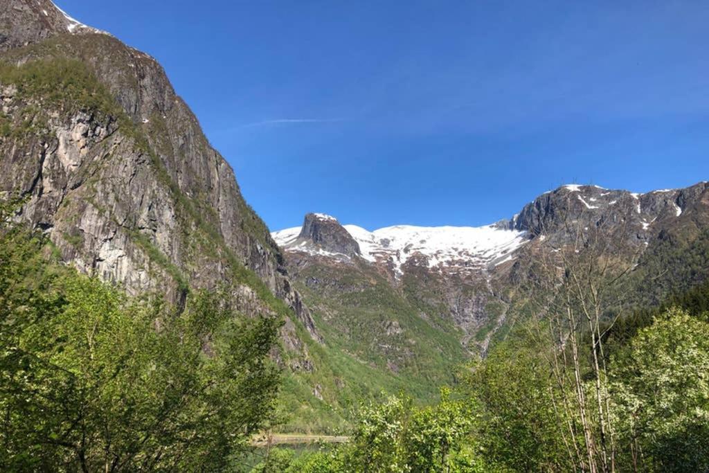 Balestrand Fjordapartments Holmen 19A エクステリア 写真
